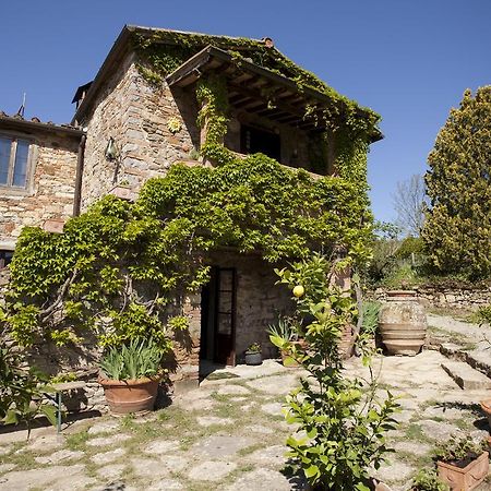 Podere Terreno Alla Via Della Volpaia Radda in Chianti Buitenkant foto