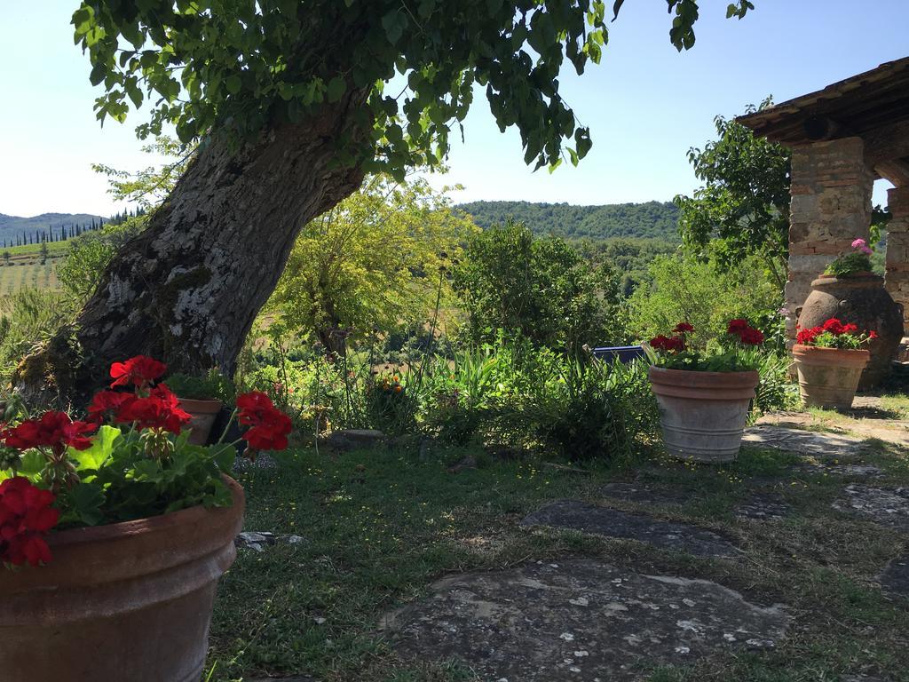Podere Terreno Alla Via Della Volpaia Radda in Chianti Buitenkant foto