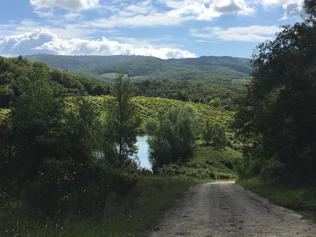 Podere Terreno Alla Via Della Volpaia Radda in Chianti Buitenkant foto