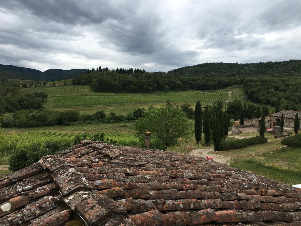 Podere Terreno Alla Via Della Volpaia Radda in Chianti Buitenkant foto