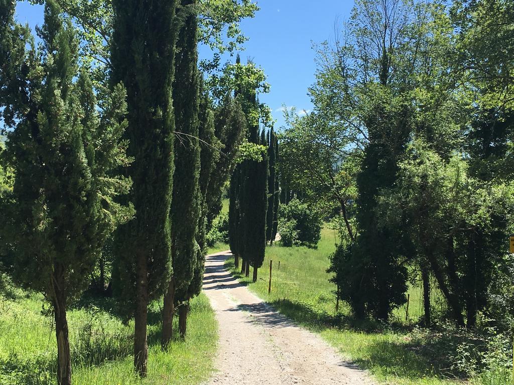 Podere Terreno Alla Via Della Volpaia Radda in Chianti Buitenkant foto