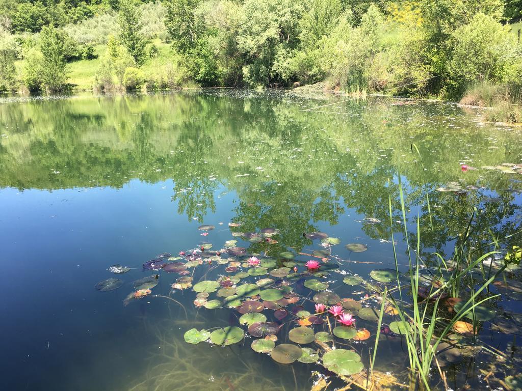 Podere Terreno Alla Via Della Volpaia Radda in Chianti Buitenkant foto