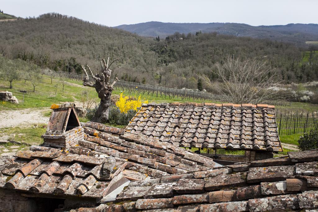 Podere Terreno Alla Via Della Volpaia Radda in Chianti Buitenkant foto