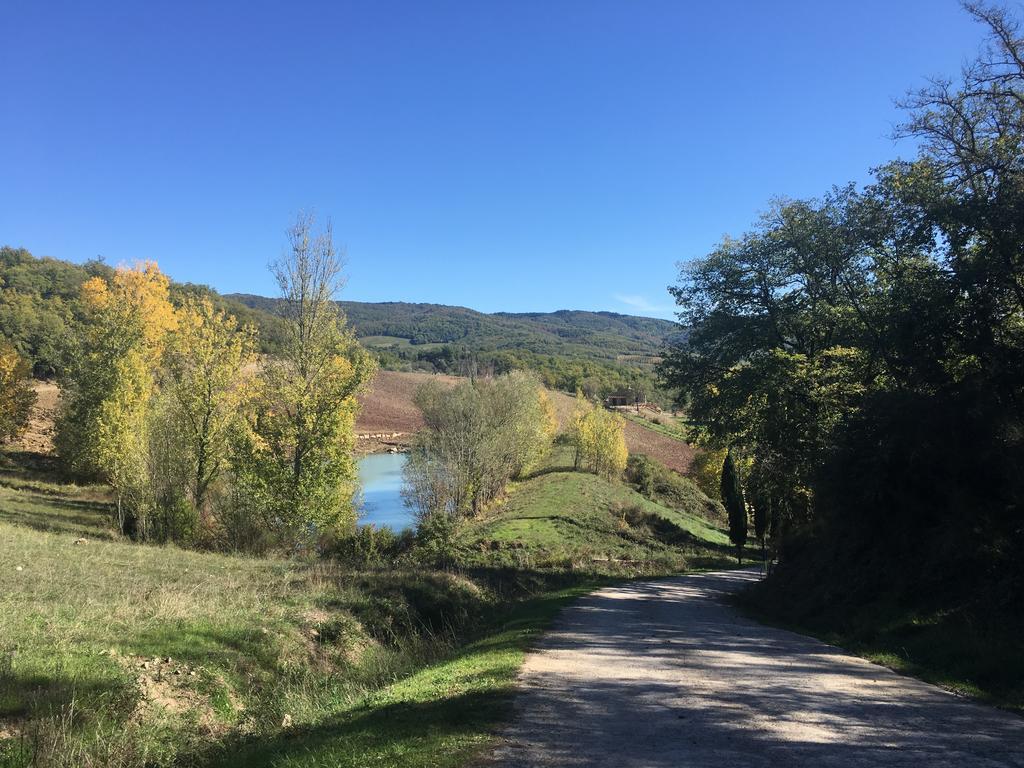 Podere Terreno Alla Via Della Volpaia Radda in Chianti Buitenkant foto