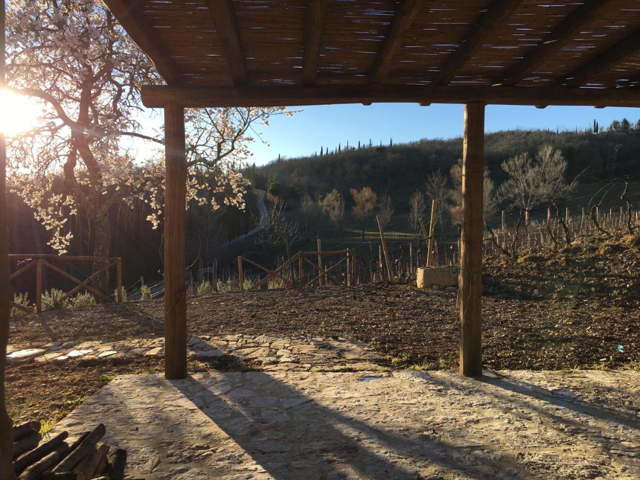 Podere Terreno Alla Via Della Volpaia Radda in Chianti Buitenkant foto